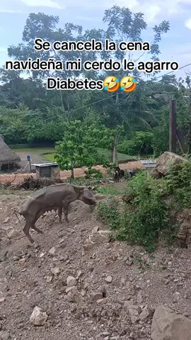 😂😂#humor #humortiktok #🤣🤣 #paratiiiiiiiiiiiiiiiiiiiiiiiiiiiiiii #fyp 