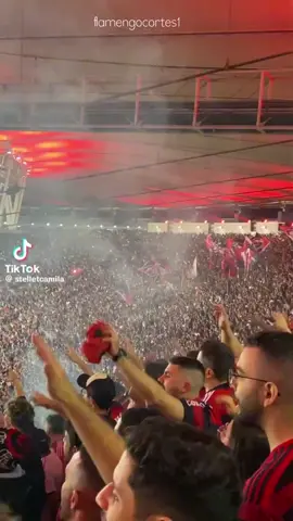 A maior do Brasil ❤️🖤 #rubronegro #CRF #flamengo #torcidaorganizada 