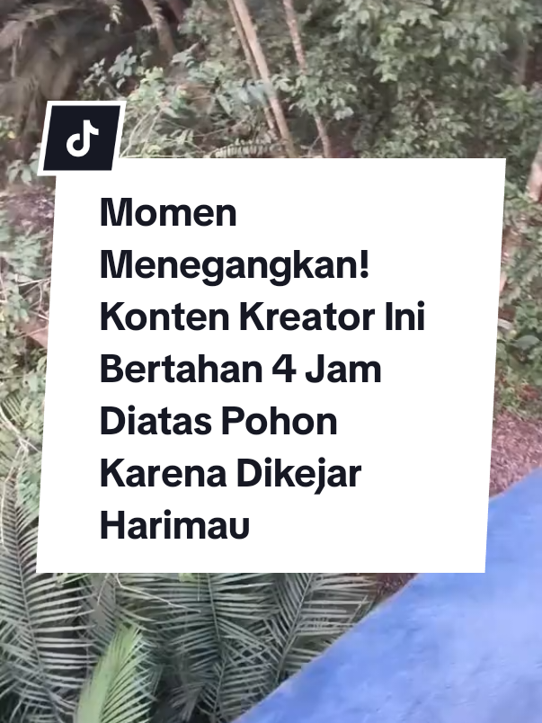 Seorang pria asal Malaysia membagikan momen menegangkan dirinya memanjat pohon selama 4 jam karena dikejar harimau. Video tersebut dibagikan oleh pria bernama Fahad di akun Tiktoknya @fahad.mk_ pada 24 September 2025. Dalam video itu, pria tersebut membagikan situasi ia memanjat pohon yang sangat tinggi. Badan pria tersebut dikaitkan dengan tali yang diikat dengan pohon. Sedangkan tas dan sepeda motornya terlihat berada di bawah. Fahad lalu mengarahkan kamera ke semak-semak di bawah. Di semak-semak itu tampak seekor harimau yang terus melihat ke arah Fahad. #hariharijakarta #jktinfo #infojakarta #jakarta #jakartatimur 