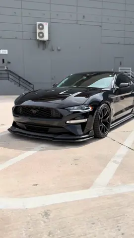 Plaqueboymax make u commit traffic violations😂😂#s550 #mustang #ford #ecoboost #car 