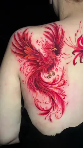 Phượng hoàng lữa cho chị gái dth đến từ phú thọ #tattoo #xuhuong #hinhxamdep #brvt 