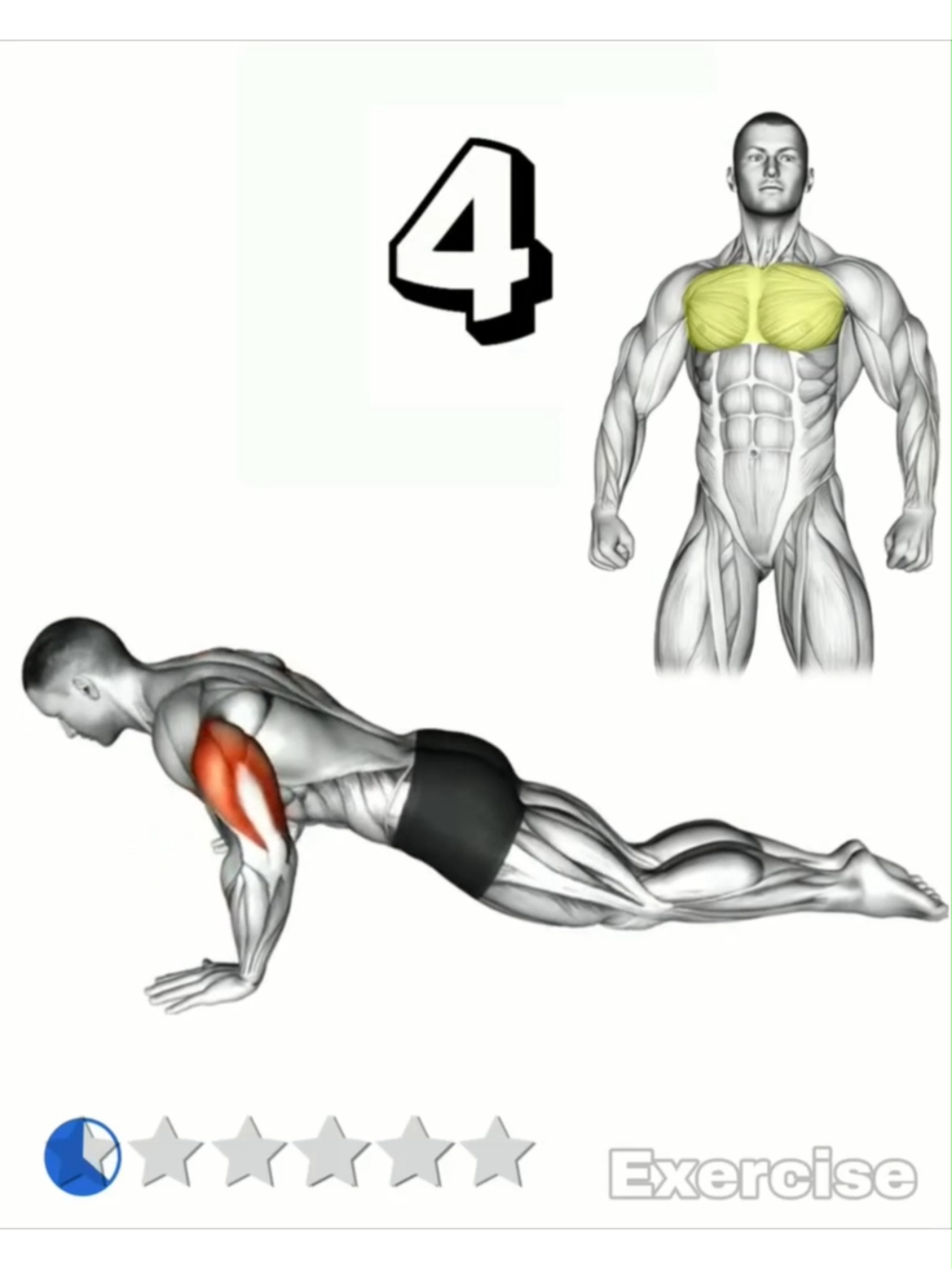Upper Body Push Up Workout #exercise #Fitness #gym #GymTok #workout #muscle #homeworkout #workoutroutine #fitnesstips