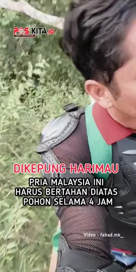 Konten kreator asal Malaysia, Fahad Mk terpaksa bertahan diatas pohon selama 4  jam  saat seekor harimau tiba tIba muncul di semak-semak dekat lokasi keberadaannya. Dilihat pada Senin (29/9)