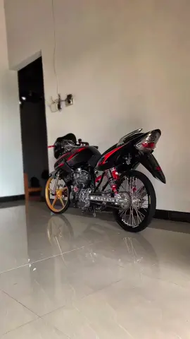 instruksi saya ambil alih segera kembali🤩🔥#fyp#tigergank🚀#foryou 