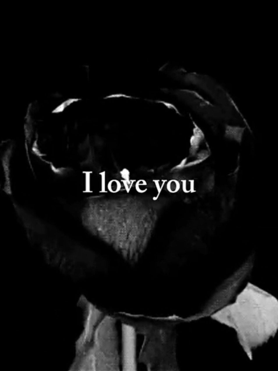 I Love You. #lyric #fontainesdc #song #Love #fyp 