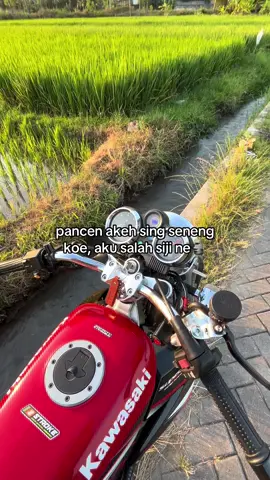 di engkol malah arp ambruk🗿