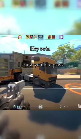 be honest… are you team beans or team paws? 👀 #csgo #furry #fyp #moots? 