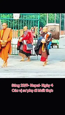 29/9/25 : Các vị Sư Phụ bộ hành khất thực 🙏 #Thayminhtue #MasterMinhTue #Suminhtue #doanbohanh #tuetran