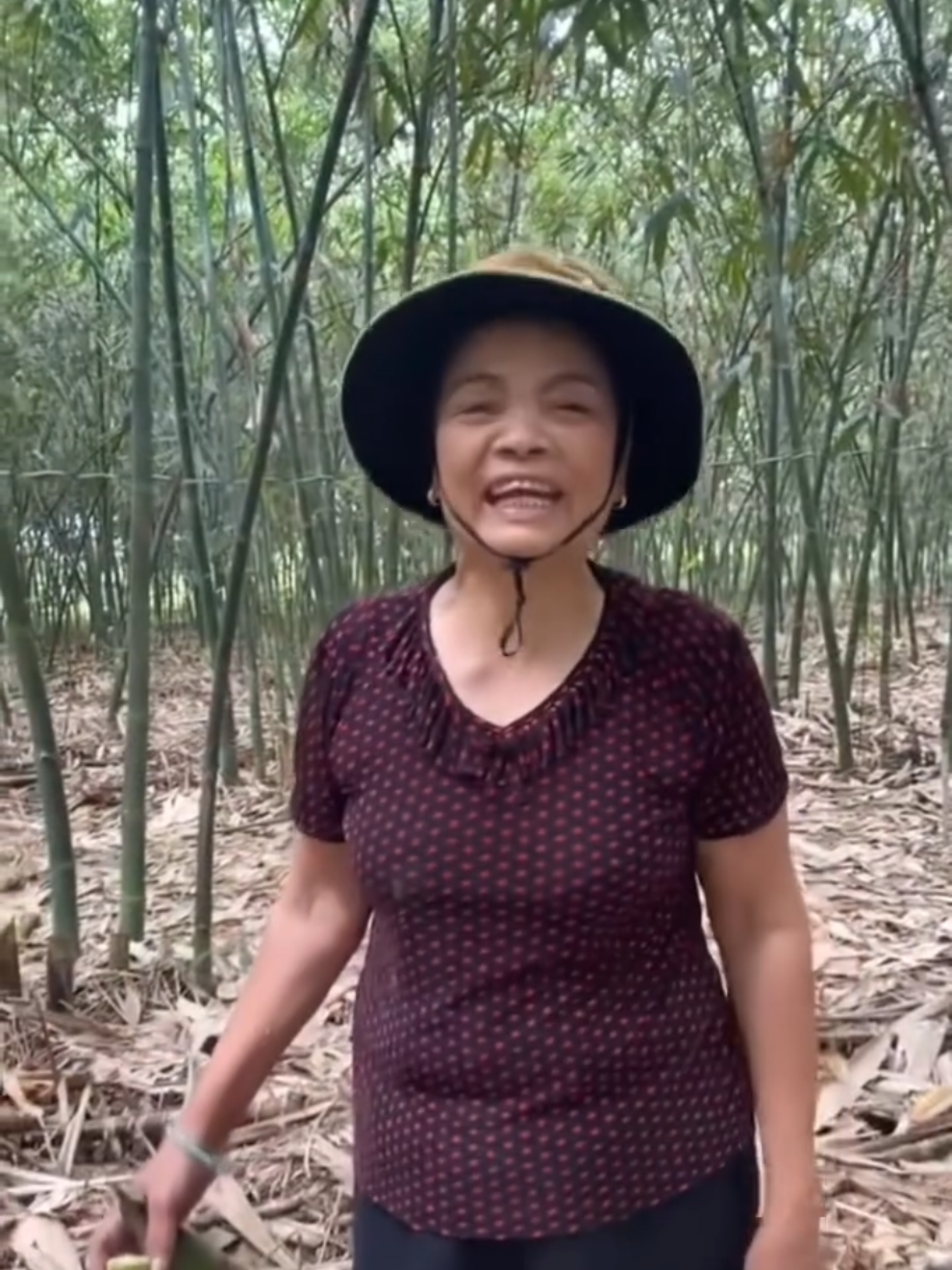 Tin bà đi coăn. Thật! 