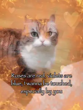 rose are red... ❤️😉#meme #cattok #rizz #relatable #joke 