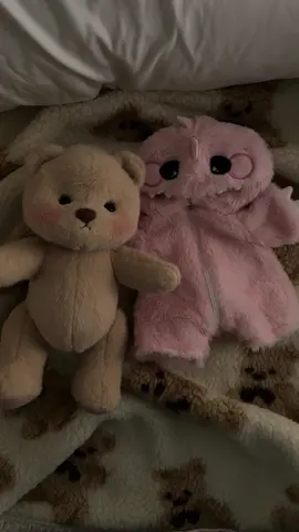 #getahugco #teddybear #giftideas #getahugbear 