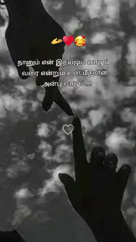 நானும் என் இதயமும் வாழும் வரை என்றும் உன் மீதுள்ள அன்பு வாழும்....#yyyyyyyyyyyyyyyyyy #100k #viraltiktok #fypシ 