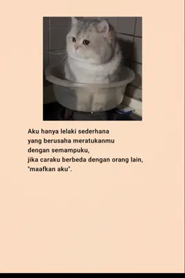 #katakatasedih #katakatabijak #fyp #viral #laguindia 