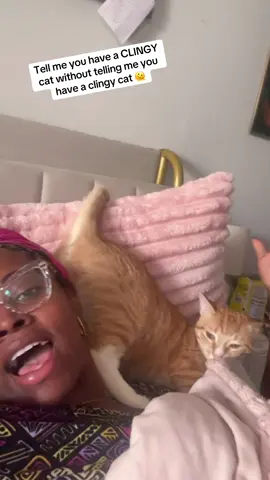 Like…GIRL 😒🫠😂  #fypシ #catsoftiktok #cat 