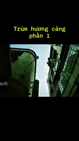 phần 1 #trumhuongcang #chungtudon #luuduchoa #phimhaymoingay #phimhay2025 