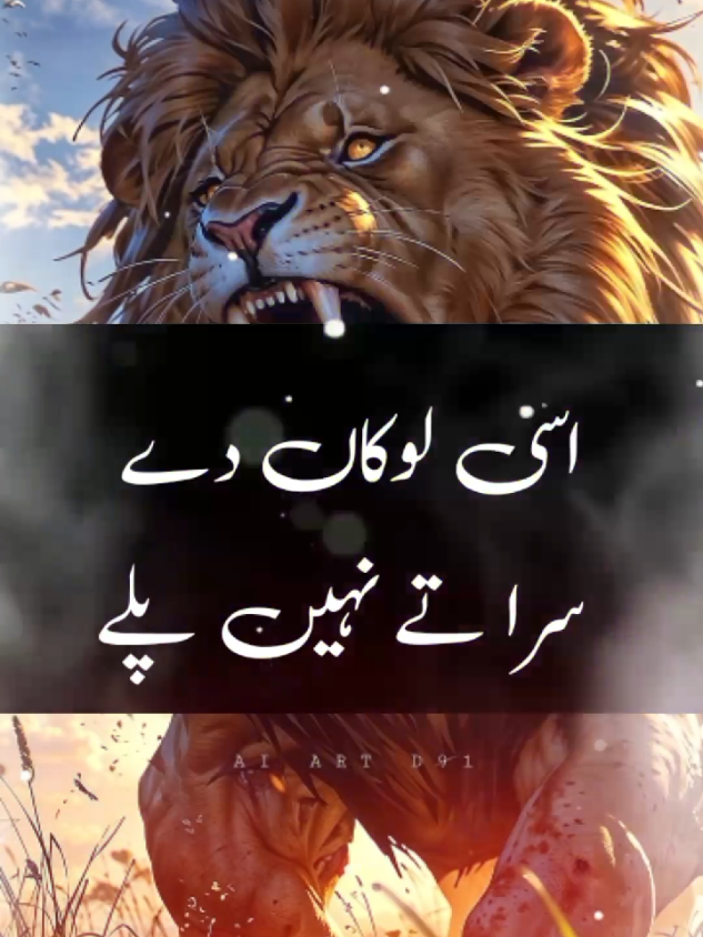 TikTok team don't under view my video please unfreeze my account