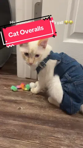 His overalls are so cute! 