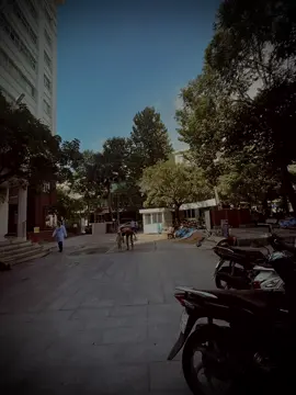 Phần2.  “这个世界充满了甜蜜的谎言。 人心如大海，我是一条游不完大海的鱼。