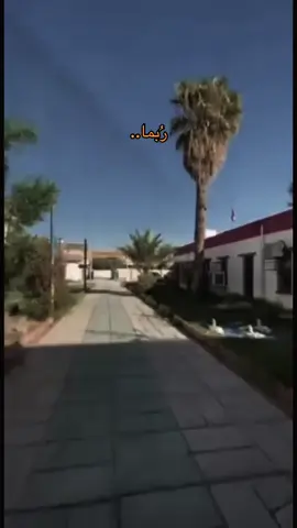 #مدرستي🥲#ذكريات #هواجيس #ربما لم نلتقي؟#@h_saden 