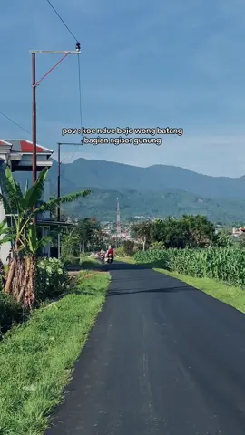 metu omah langsung pemandangan #pasarbawang #bawangindah #explorebatang #jalurbawangdieng 