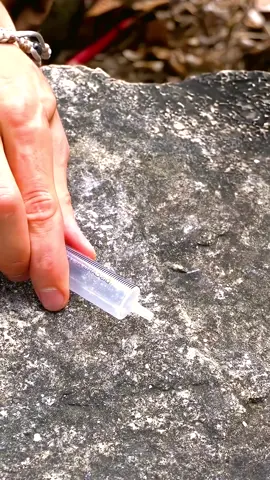 Ep 28 - 🔥 Firestarter from Tea Bags #camping #survival #bushcraft #Outdoors #forest  