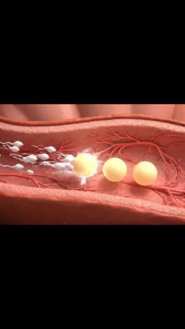 Triple baby inside view in mother #anatomy #healthylifestyle #viral #human #fyp 