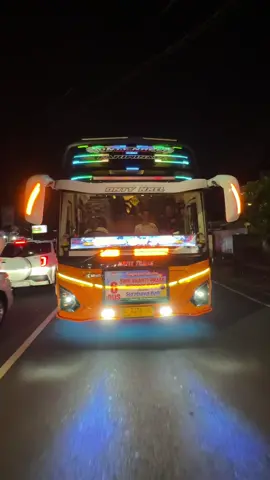 LAGU CHICKEN DANCE 24 NOT! by : Onty Nael 💃  @NAFIT TRANS TEGAL  #fyp #huntingbus📸 #basuri #telolet #xaviergank 