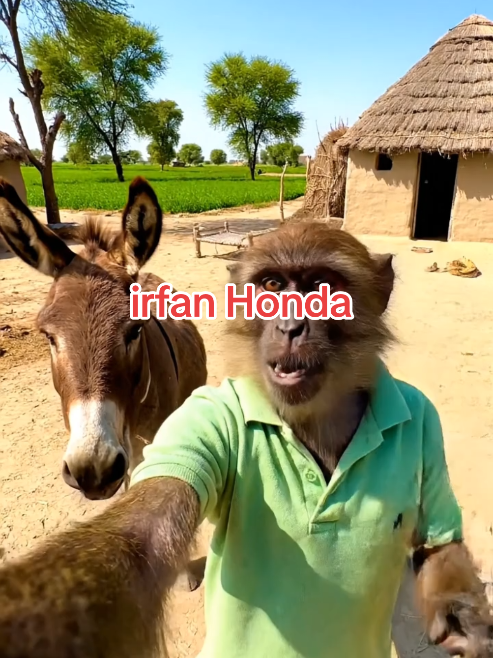irfan.Lolo Popo Krvana h to name comment karo, #monkeyvideos #fyp #viral 