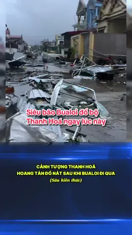 Thanh Hoá ngay lúc này. Cảnh tượng hoang tàn, đổ nát khi bão số 10 Bualoi đi qua. #baoso10 #bualoi #tintucbao #xuhuong #thanhhoaanhhuongbaoso10