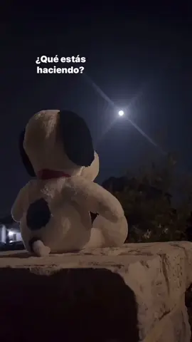 q estas haciendo#fypシ゚ #fy #unacerveza #fuerzaregida #snoppy 