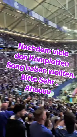 #CapCut #schalke #Ki #S04 