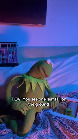 Team Kermit, Edward or Jacob? #twilight #fallvibes #fyp 