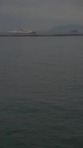 #CapCut 