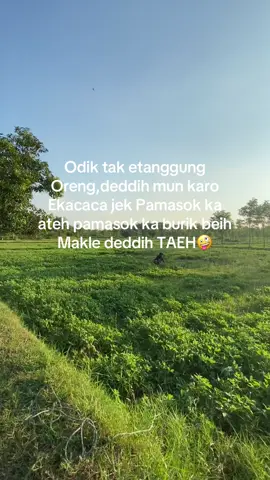 Acolok taeh nyamanah🤣😅#tanjungbumibangkalanmadura #fyppppppppppppppppppppppppppppppppppp #fypシ #masukberandafyp #madurakerasbosku 