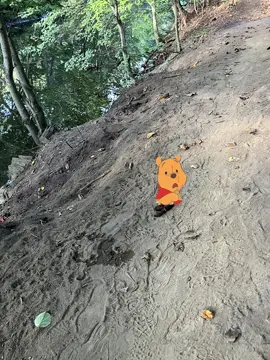 I was preoccupied recording the amazing view when… #Hiking #dog #poo 💩 🤣 #funny #fyp 