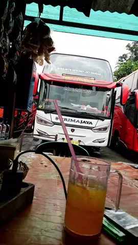 mik es sanap2 
