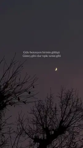 Senin gibi 