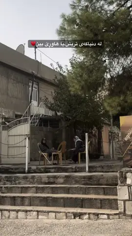 با هاوڕێ بین🥀