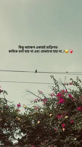 কিছু আক্ষেপ একান্তই ব্যক্তিগত         কাউকে বলা যায় না এবং বোঝানো যায় না..!😅❤️‍🩹 #foryou  #the_spydoo 