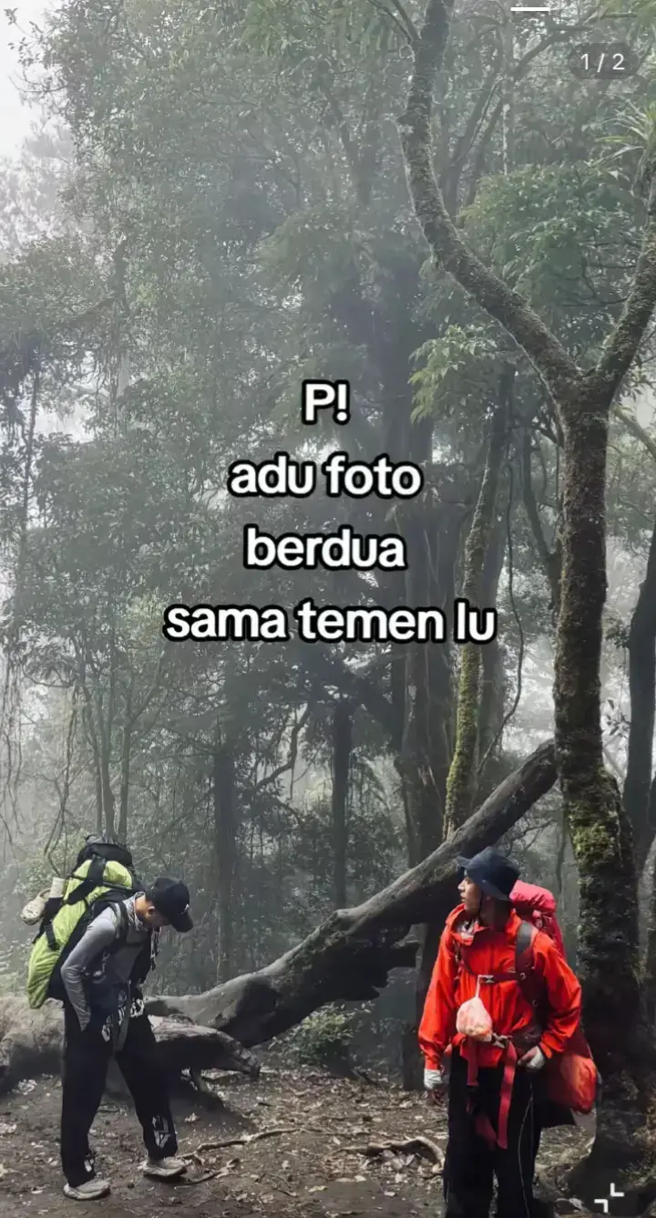 maaf fomo  #fyppppppppppppppppppppppp #baodaye1600mdpl #pendakifomo #p  #trand 