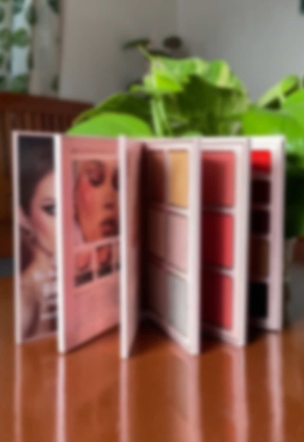 78 super pigmented shades + 5pages makeup book = WORTH IT & PERFECT!! #ordernow #makeupbook #fypage 