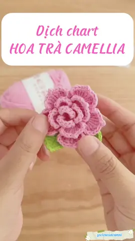 Dịch chart: Hoa trà Camellia #camellia #móclen #moclenhandmade #hoalen #goclencuacamni 