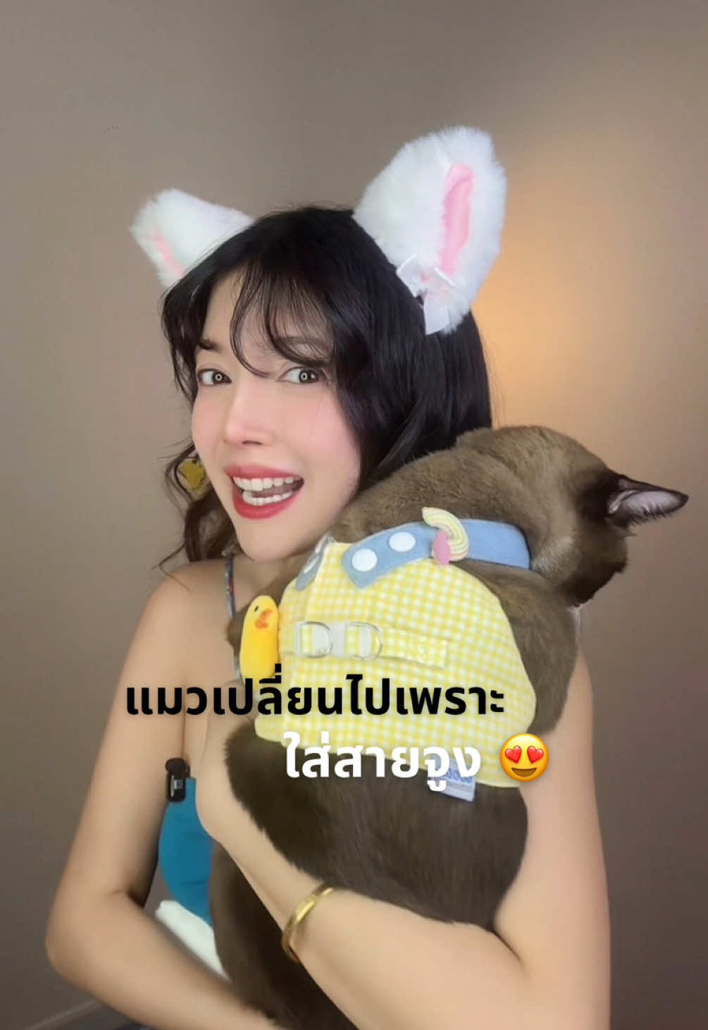 แมวเปลี่ยนไป เพราะใส่สายจูง 😍 #สายจูงแมว #สายจูงสัตว์เลี้ยง #ชุดแมวน่ารักๆ #ชุดแมว #สวนสัตว์tiktok 