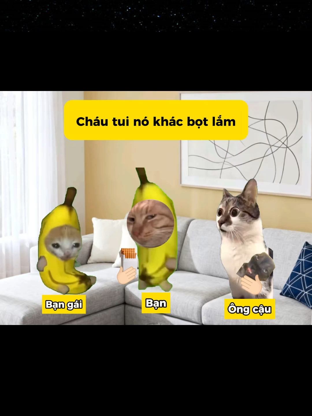 #funny #memes #haihuoc #catmeme #cat