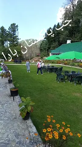 جب پاکستان ہارا#♥️♥️♥️♥️♥️♥️♥️♥️♥️👍👍👍👍👍👍👍😍😍😍😍😍 