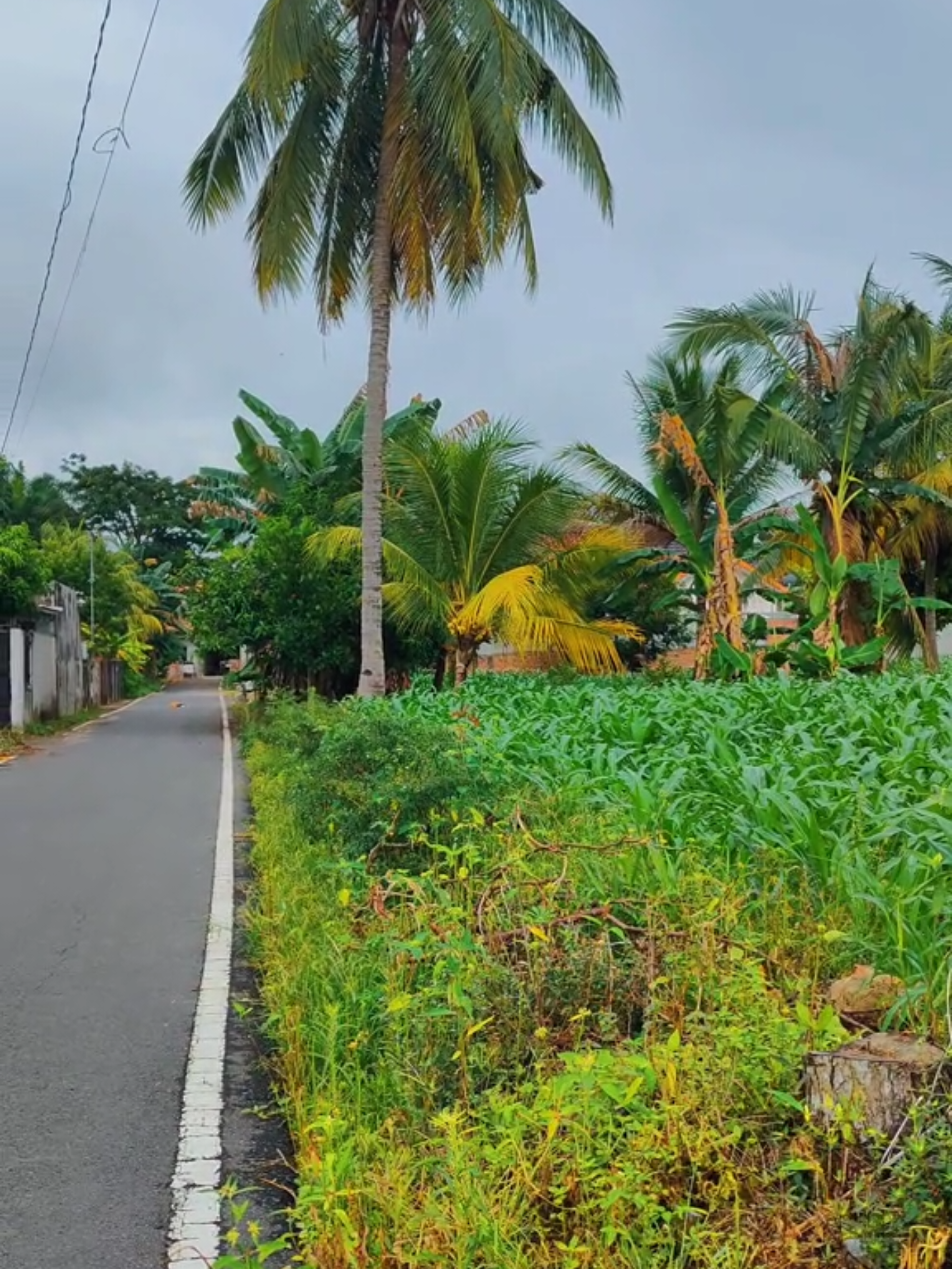 old song #nature #foryoupage #oldsong #60fps #pubg 