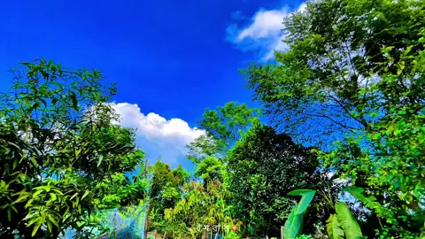 জীবনটা তখনই সুন্দর ছিল, যখন ভাবতাম রাতের আকাশের চাঁদ শুধু আমার সঙ্গেই হাটে!'🖤🌙 #প্রকৃতি #sky #anfeezemyaccont #viral_video_tiktok #foryoupageofficiall @💫আকাশের ঠিকানা 💥 
