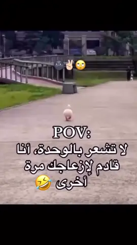 😂😂😂🥰🌚🫣🤷🏻‍♂️😎✌🏻🤪