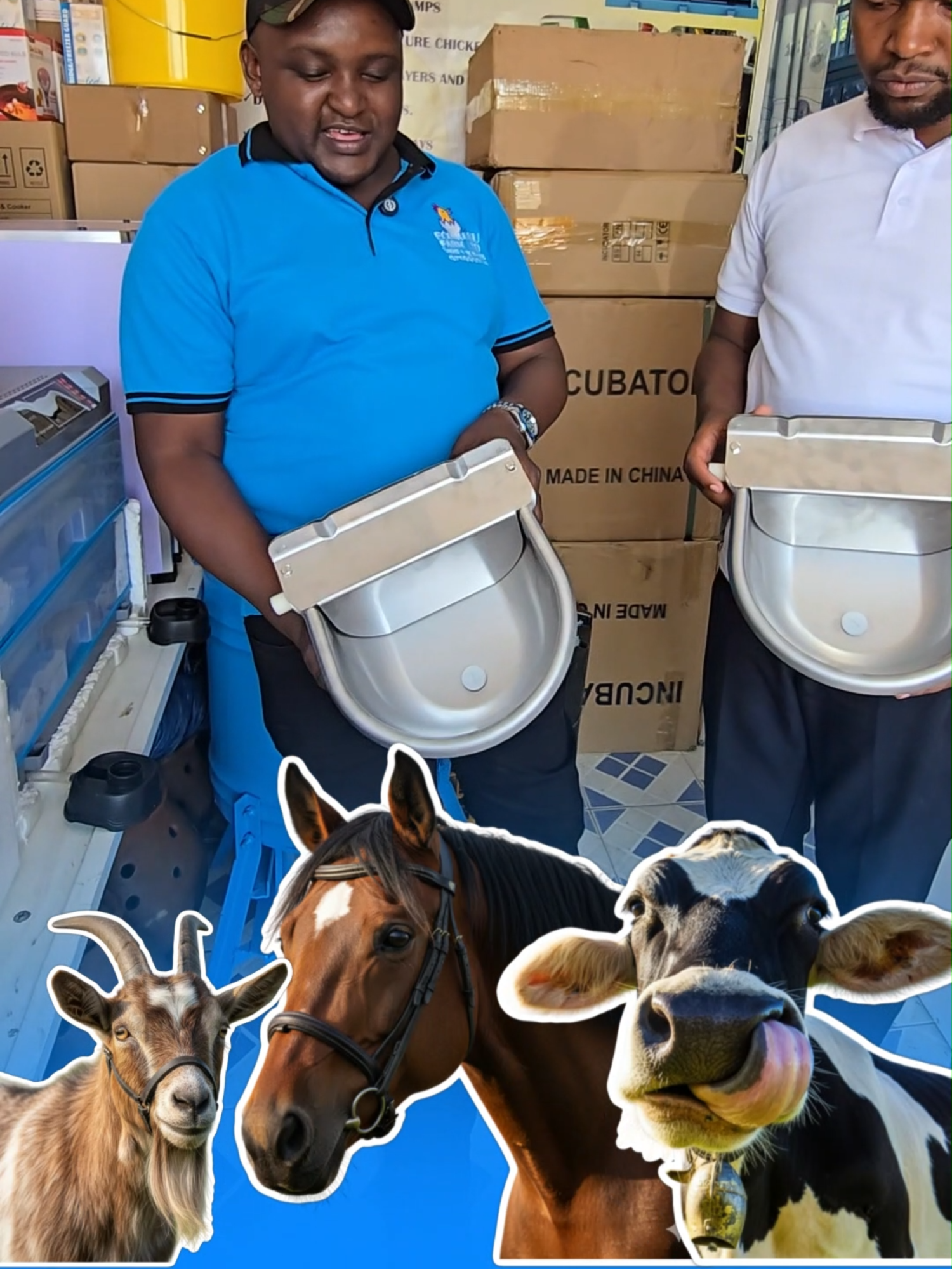 Get this autmatic drinker for your animal farm, here  is how it helps ✅Reduce labor of watering the cows/ goats/ sheep everyday ✅Water is not wasted, as it cannot spill ✅Last a long time (made of stainless steel) ✅Waster is not wsted because contaminated water can easily be drained The item is available here at Eco Kuku Farm Ltd,  call us 0710 905 696, we offer free delivery and installation happy farming #cattle #cow #drinker #farm #farmequipment #farmlife #kenyafarming #kilimo #fyppppppppppppppppppppppp #livestock