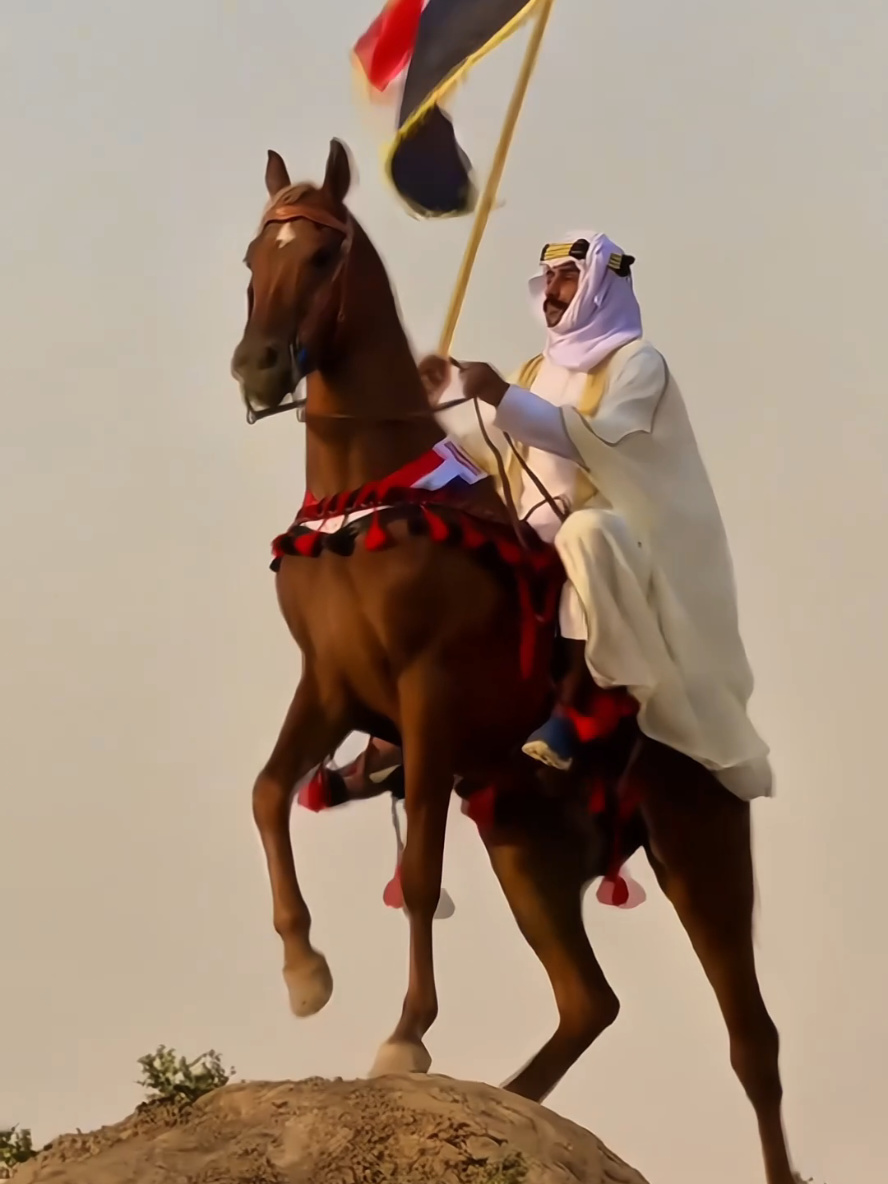 اليوم الوطني العراقي 🫀🇮🇶#اليوم_الوطني_العراقي  #اليوم_الوطني_العراقي🇮🇶  #الشعب_الصيني_ماله_حل #viral #الشعب_الصيني_ماله_حل😂😂🏃🏻‍♀️ 